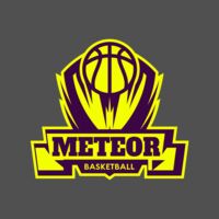 Meteor Basketball Logo Template Thumbnail