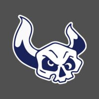 Elements Skulls logo template 38 Thumbnail