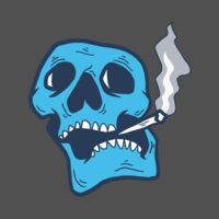 Elements Skulls logo template 101 Thumbnail