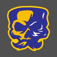 Elements Skulls logo template 151 Thumbnail