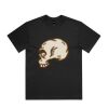 Box Tee Thumbnail